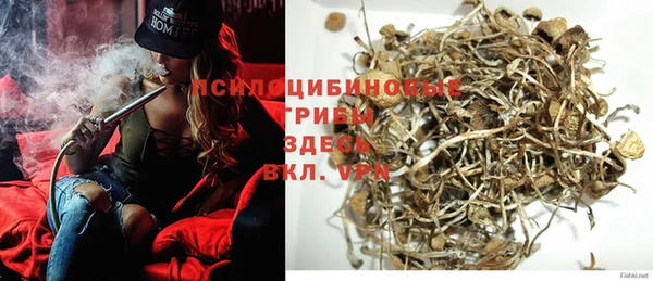 дурь Туринск