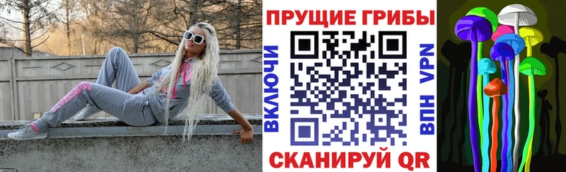 Галлюциногенные грибы GOLDEN TEACHER  маркетплейс какой сайт  Торжок 
